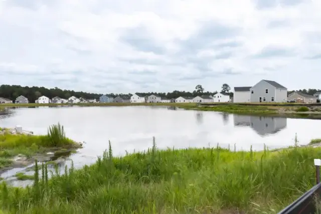 1915 boynton way se 20240625 027